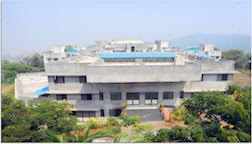 vipula